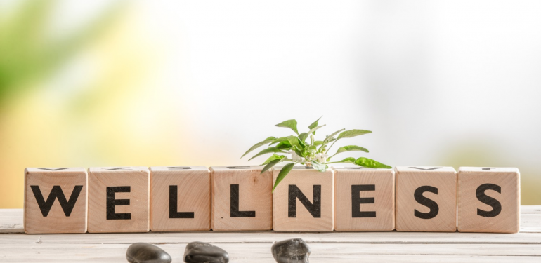 Wellness, Beslenme ve bağışıklık arasındaki ilişki
