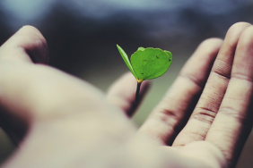 Adsız tasarım (38)