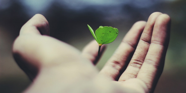 Adsız tasarım (38)