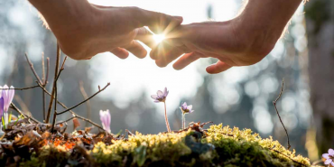 Adsız tasarım (45)