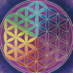 kerimali doğacı (1)