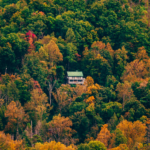 kerimali doğacı (15)