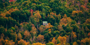 kerimali doğacı (15)