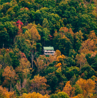 kerimali doğacı (15)