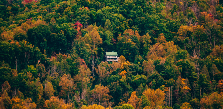 Ağaç Ev Pardon Ağaç Şato