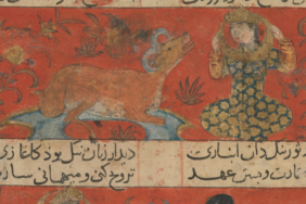 kerimali doğacı (27)