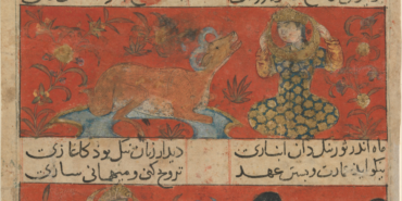 kerimali doğacı (27)