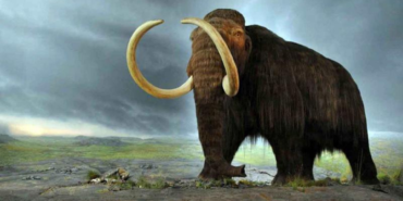 kerimali doğacı (27)