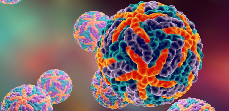 İçimizdeki dünya!