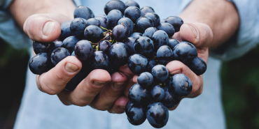 kerimali doğacı (4)