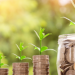 kerimali doğacı (44)