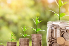 kerimali doğacı (44)