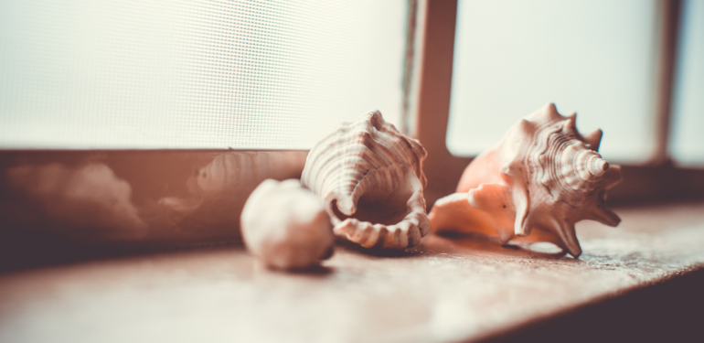 Deniz Kabuğu, Mercan ve İnci Sembolizmi