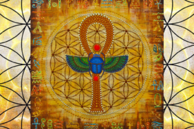 yaşam çiçeği (6)