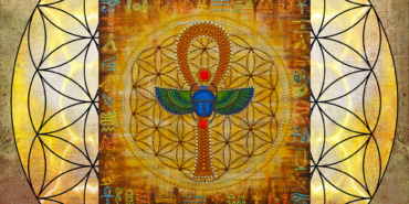 yaşam çiçeği (6)