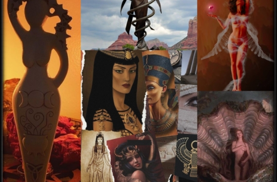 InstaShape_202218152521468