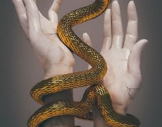 b75f3e4c2027c366fad79c8182f36426